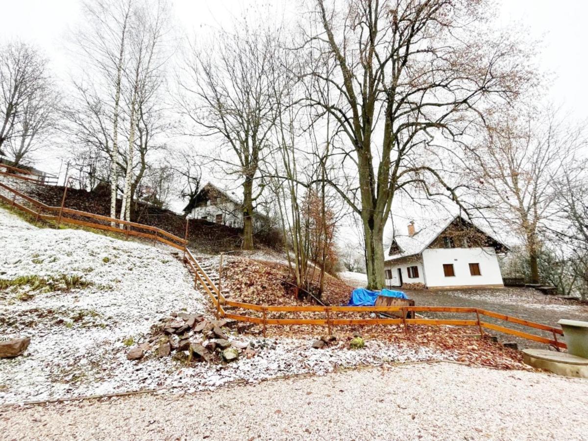 Holiday Home In The Giant Mountains Rudník المظهر الخارجي الصورة